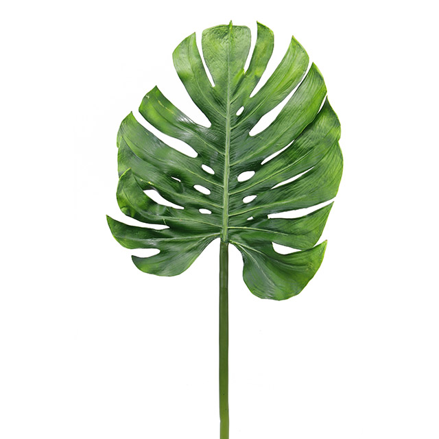 GREENERY, Monsteria Leaf 102cm